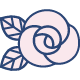 Rose Flower Oil